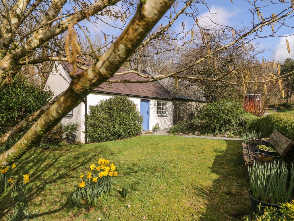 兰达西尔Hawthorn Cottage的一个带水仙花庭院的房子