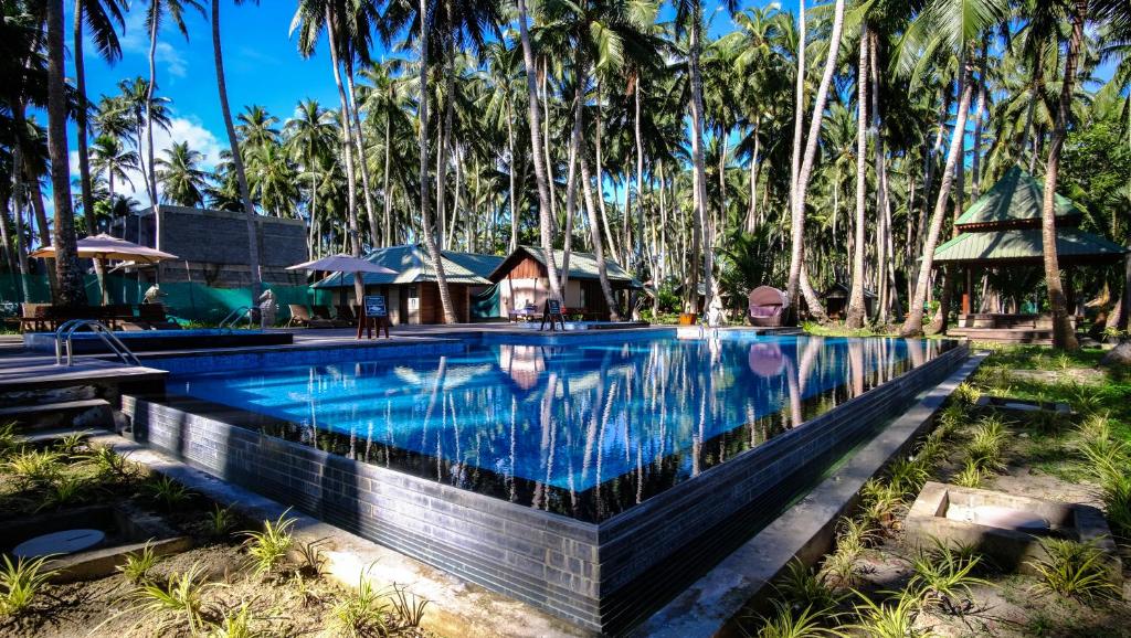 哈夫洛克岛Sea Shell Resort & Spa, Havelock的一座棕榈树环绕的游泳池