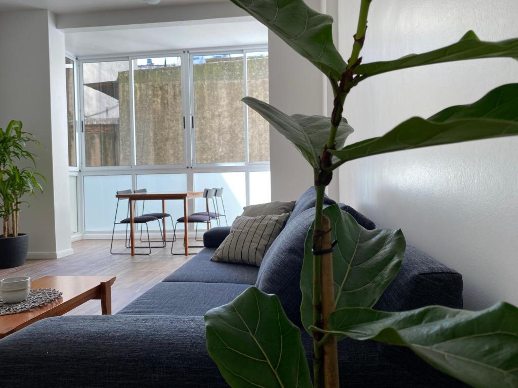 布宜诺斯艾利斯Departamento nuevo y luminoso en el centro de BA的客厅配有蓝色沙发和植物