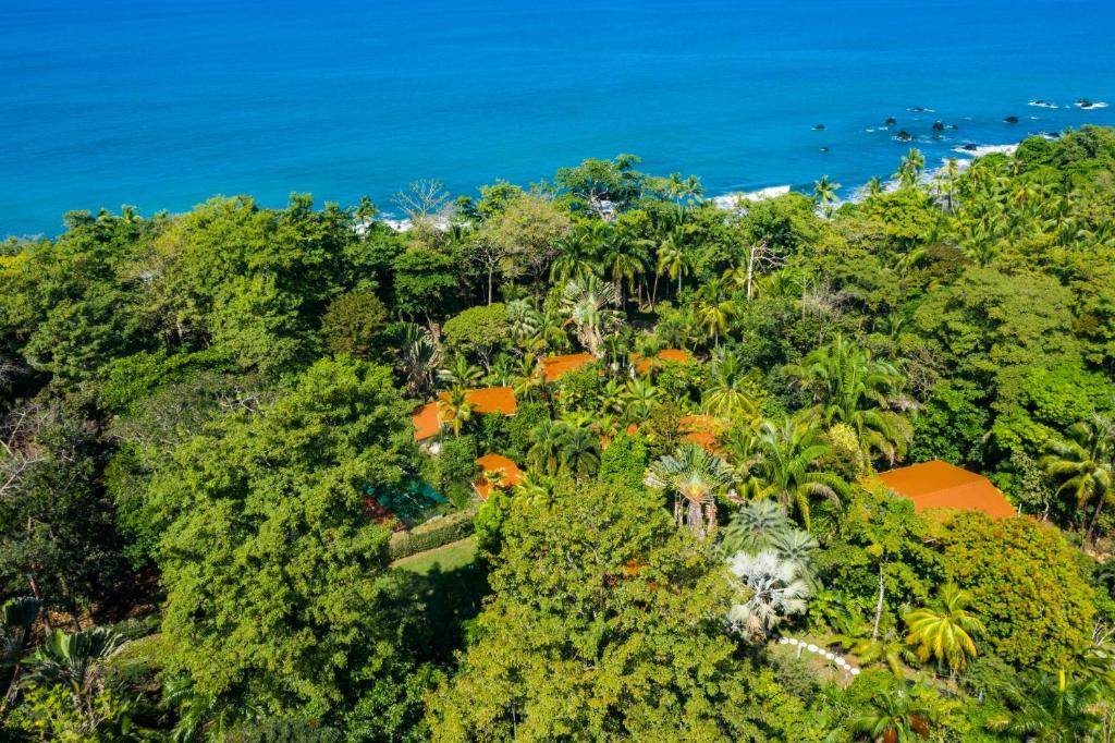 帕沃内斯La Ponderosa的享有热带岛屿树木和海洋的空中景致