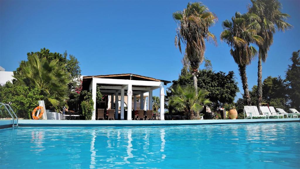 帕拉代西翁罗德阳光酒店 的棕榈树屋前的游泳池