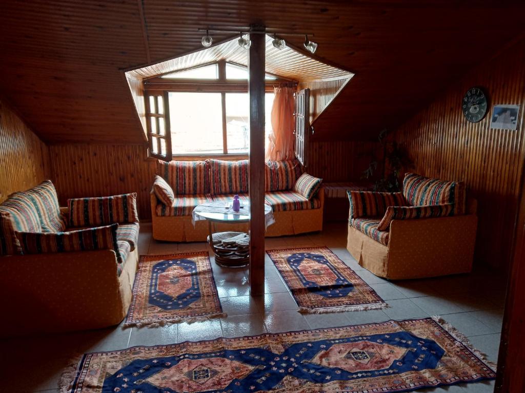 尼亚米卡尼奥纳DESPOINA APARTMENT 4 Relax的带沙发、桌子和窗户的客厅