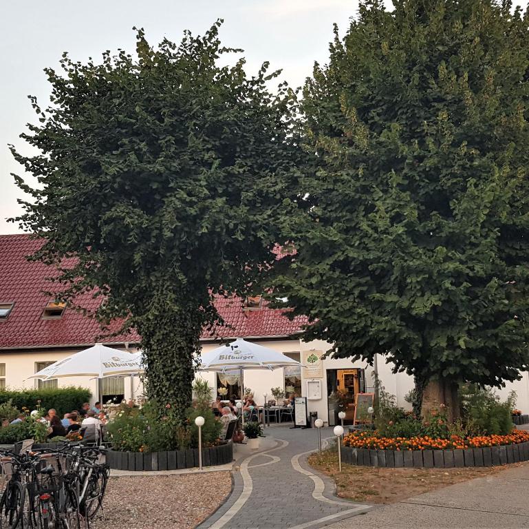 乌埃克尔明德利普加尔滕林登霍夫餐厅旅馆的两棵树,位于一座配有桌椅的建筑前
