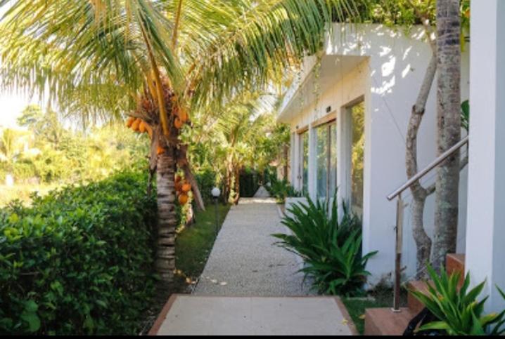 海神庙蒂萨瓦别墅酒店的一条棕榈树,旁边是带走道的房子