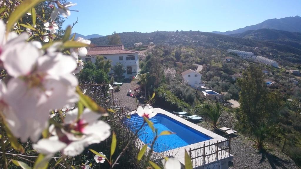 古罗Nido Aguila Blanca的一座带游泳池的别墅,位于一座鲜花盛开的山丘上