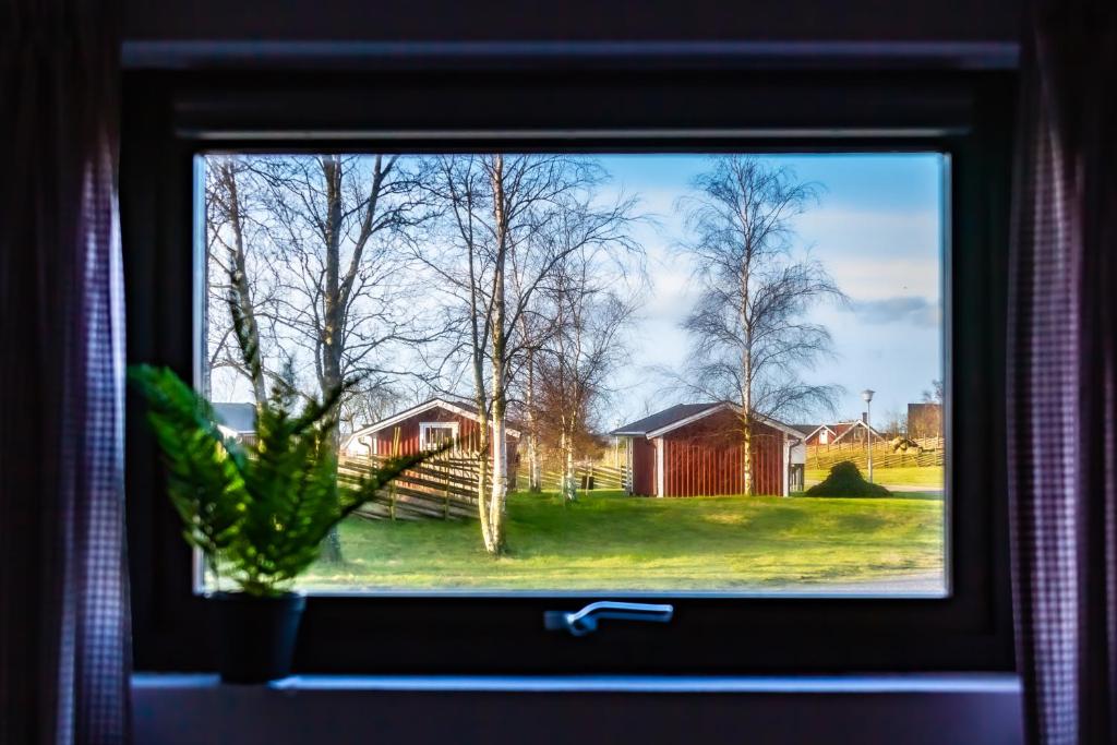 TvååkerRödlix Vandrarhem & Camping的浴室窗户享有庭院的景致。