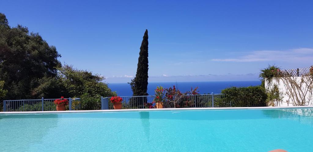 派莱卡斯Villa Daphne的蓝色的海景游泳池