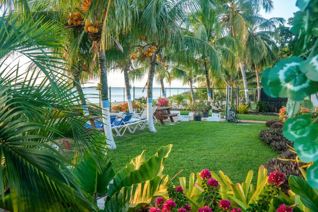 布里奇敦Banyan Beach House Villa的一座种有棕榈树和椅子的花园,以及一座大海