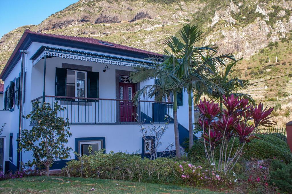 圣维森特Casa do Tio的山前有棕榈树的白色房子