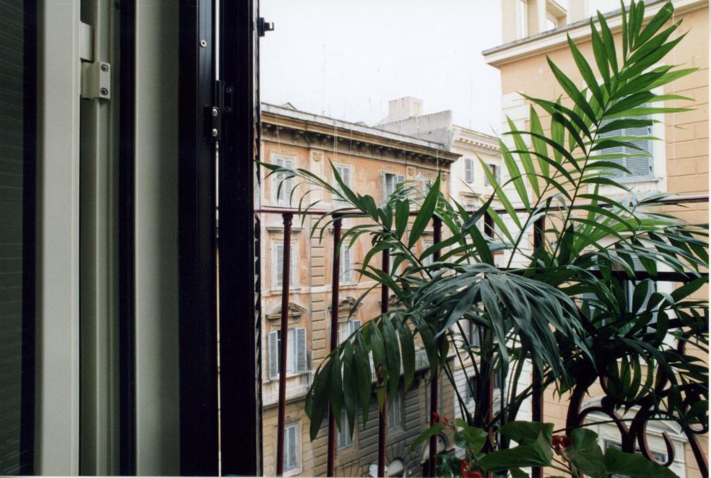 罗马魔力酒店的窗户前的植物,有建筑物