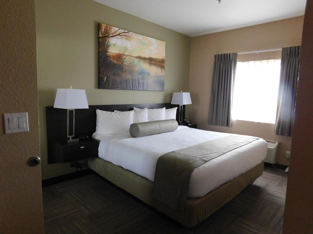 哈瓦苏湖城岛屿套房酒店的一间设有大床和窗户的酒店客房