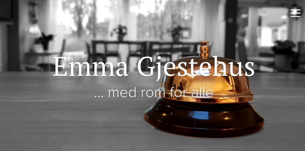 桑维卡Emma Gjestehus的坐在地板顶上的金钟