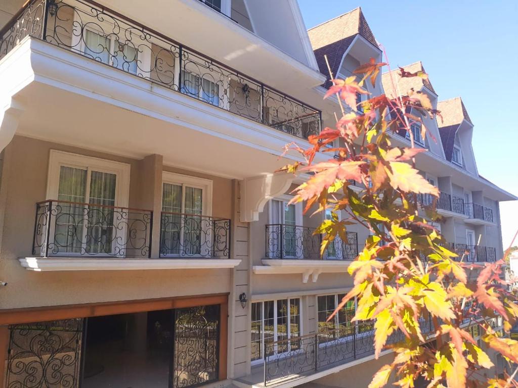 格拉玛多Hotel Daara的带阳台和树的建筑