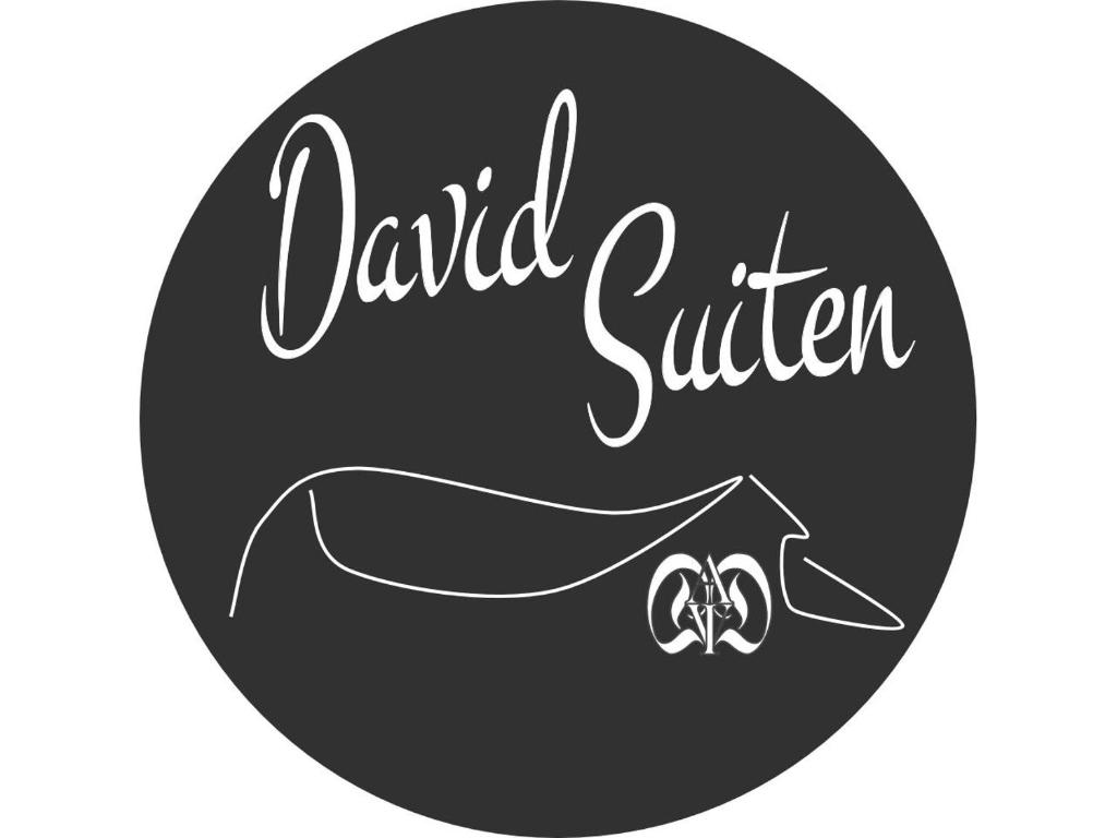 毛特恩多夫DAVID SUITEN的黑白标签,配上一对婚戒