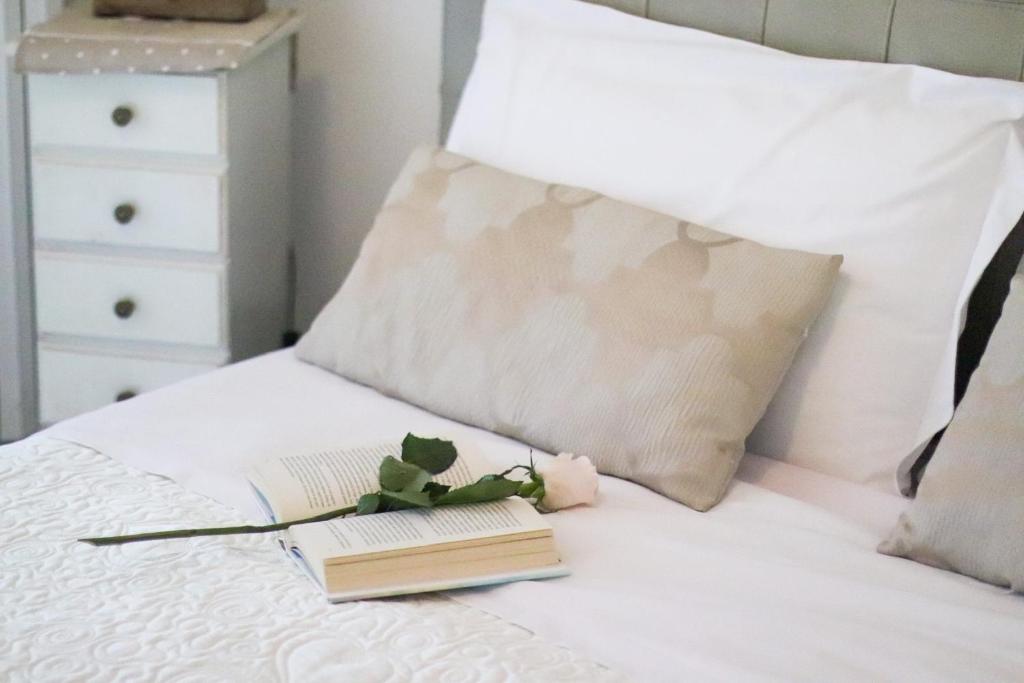 巴里奥罗拉之家住宿加早餐酒店的床上的书和植物