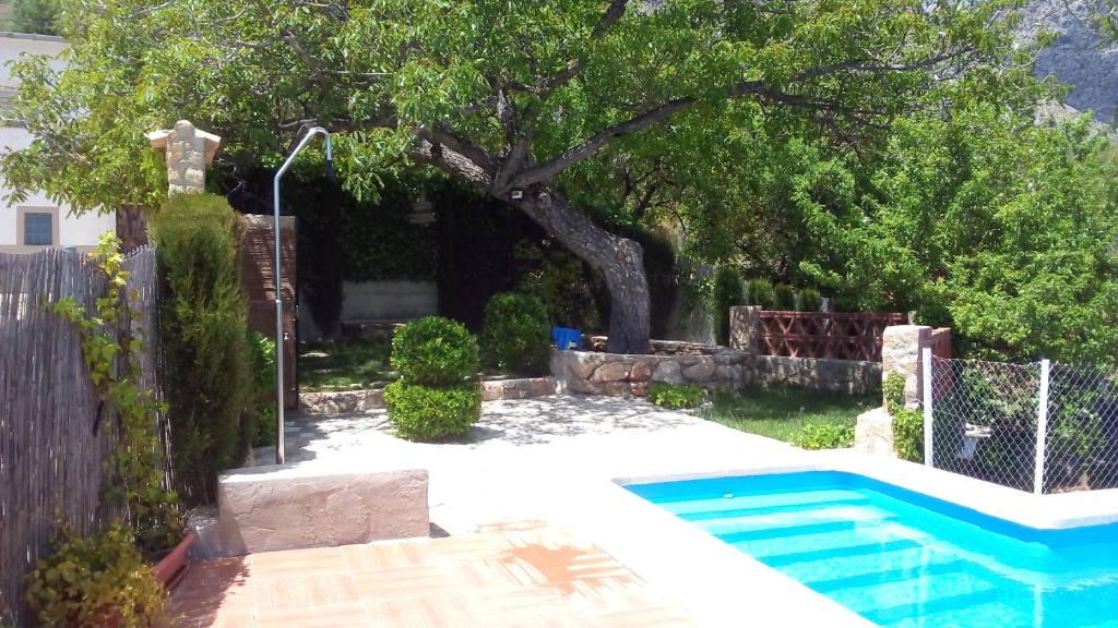CabritaCasa rural Alojamiento Garganton的后院,有树和游泳池