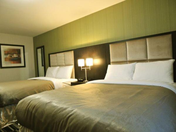 CarlyleWestern Star Inn and Suites Carlyle的酒店客房设有两张床和两盏灯。