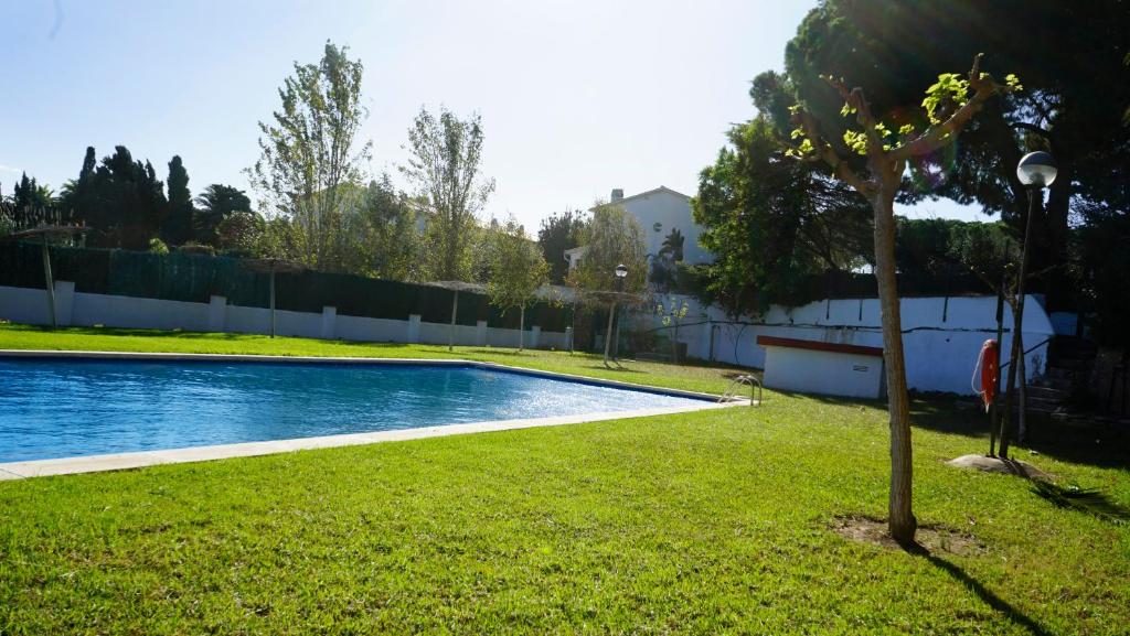 蒙特罗伊Villa Paradise by MarCalma的游泳池旁小树