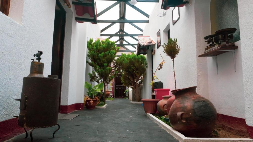 乌尤尼拉玛吉亚乌尤尼旅馆的建筑里带花瓶和植物的走廊