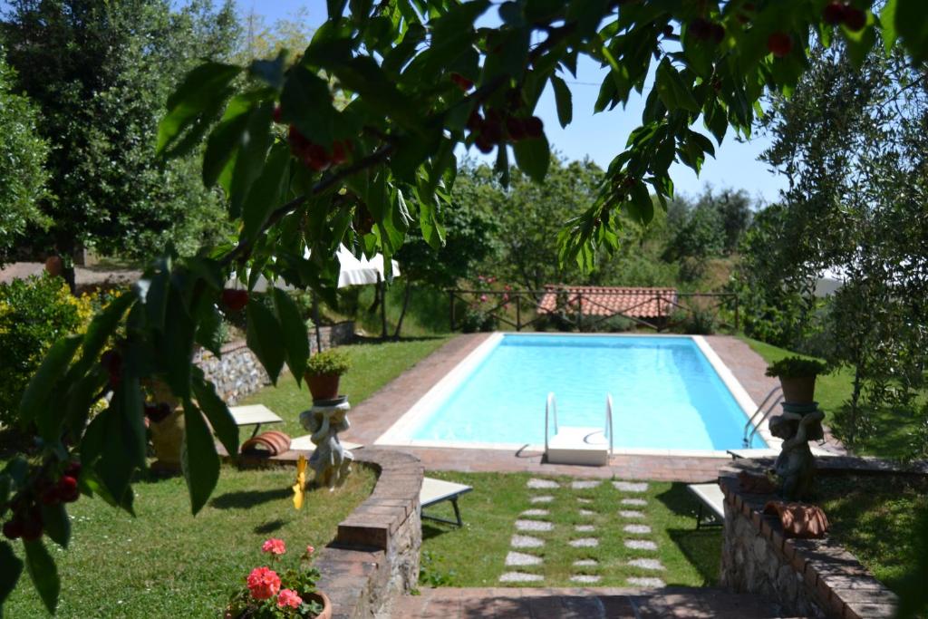 卡斯德尔诺沃贝拉登卡Agriturismo Lo Strettoio的一座房子的院子内的游泳池