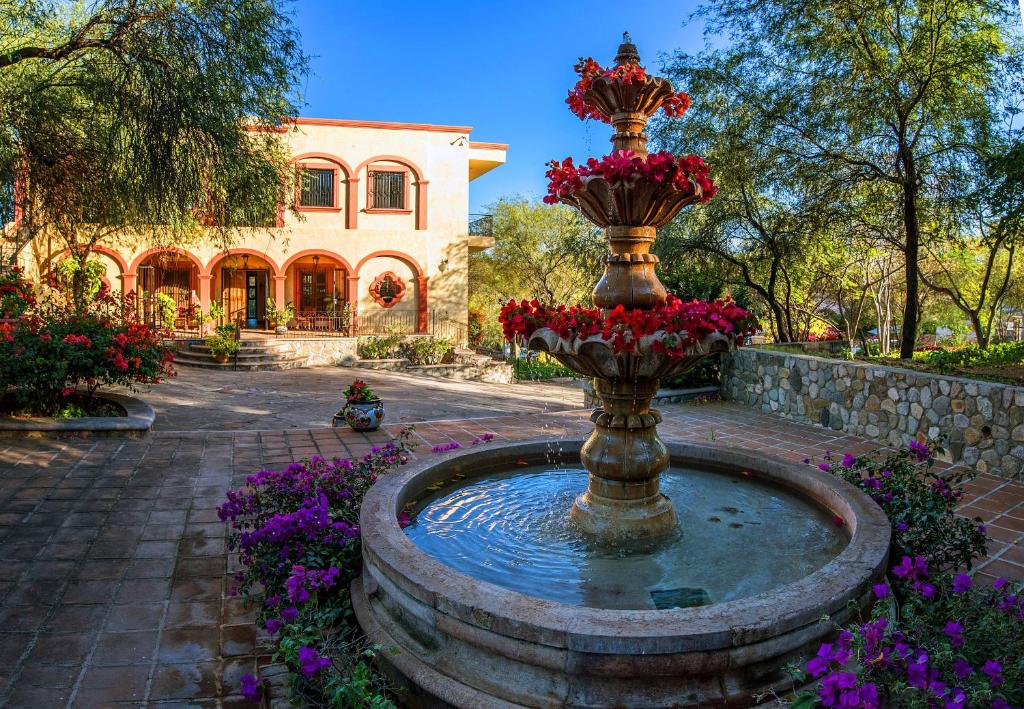 阿拉莫斯Loma de Guadalupe Alamos Sonora的花团锦簇的庭院中央的喷泉