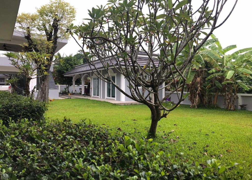 Ban PrasatSutalawadee Resort的院子中有一棵小树的房子