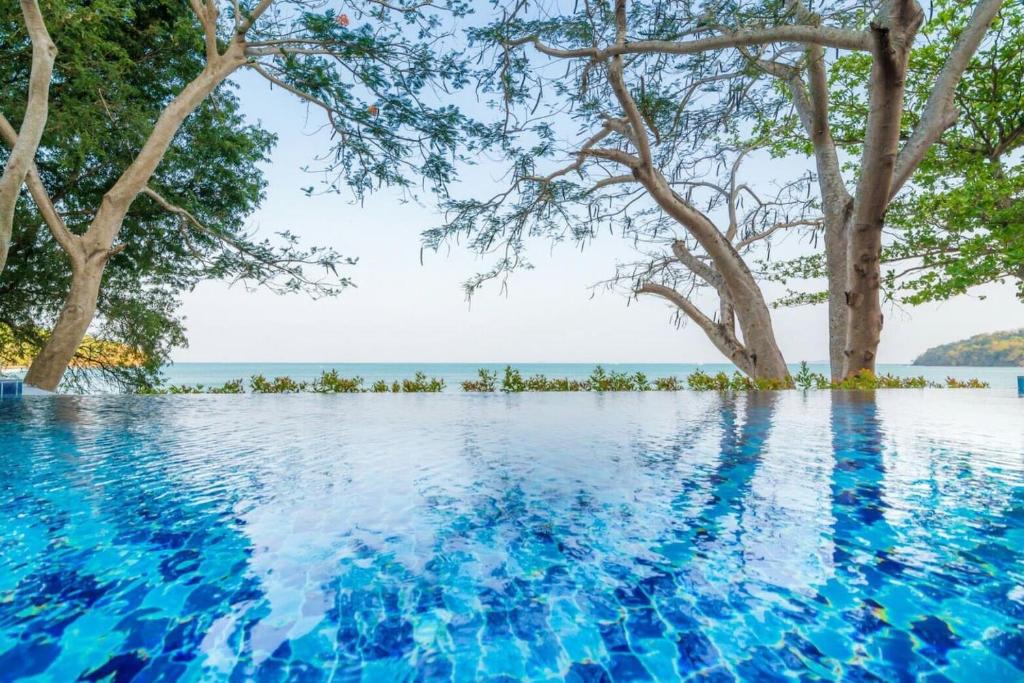 普吉镇Koh Sirey Beachfront Pool Villa的一座种有树木的游泳池,一座背景海洋