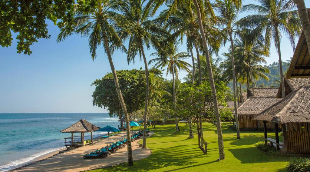 圣吉吉吉娃克鲁度假酒店的享有棕榈树海滩和大海的景色