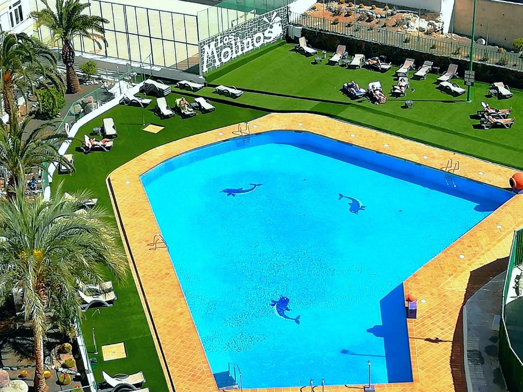 圣巴托洛梅LOS MOLINOS 125的享有酒店大型游泳池的顶部景色