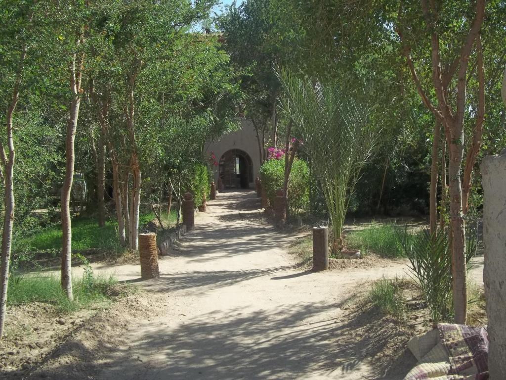 卢克索努尔萨尔瓦多巴拉德酒店的一条穿过公园的小路,公园里有树木和隧道