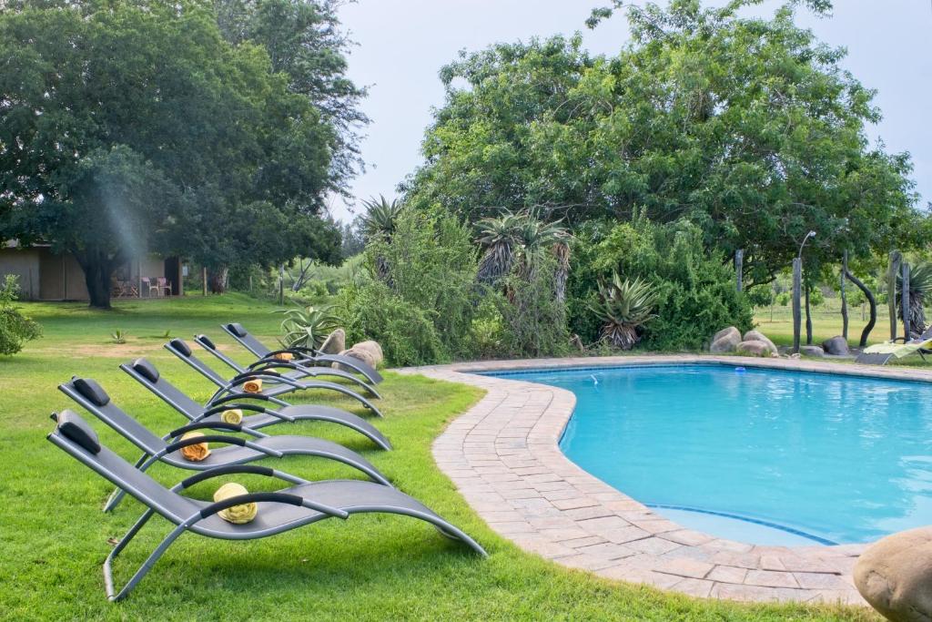阿多克里斯林非洲山林小屋的游泳池旁的一排草坪椅