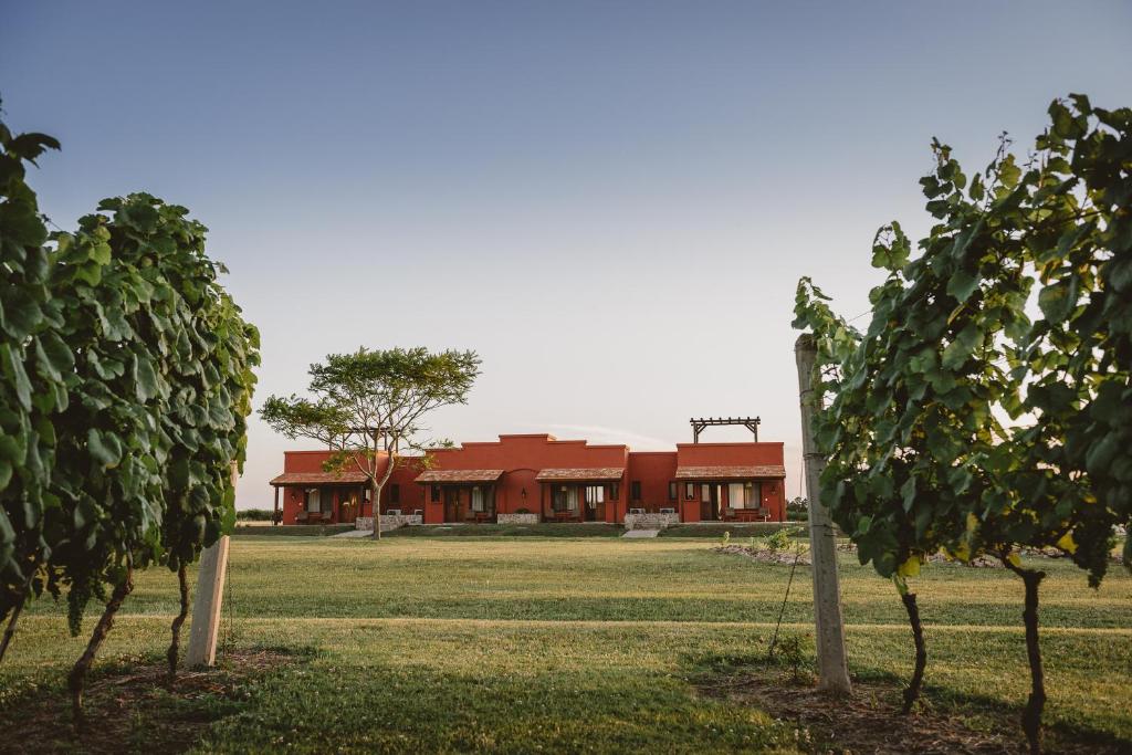 卡梅隆El Legado Wine Lodge的一座红楼,位于一个树木繁茂的田野中间