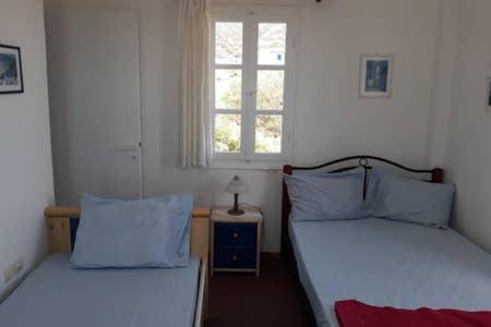 德里奥斯Village house in Paros的带窗户的客房内设有两张单人床。