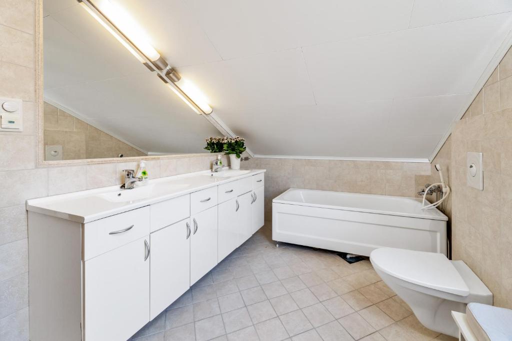 凯于图凯努Goldin的浴室配有盥洗盆、卫生间和浴缸。