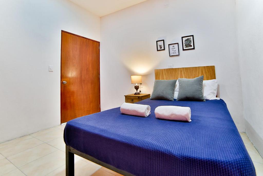 巴亚尔塔港Hostal Ten to Ten Puerto Vallarta的一间卧室配有蓝色的床和2个粉红色枕头