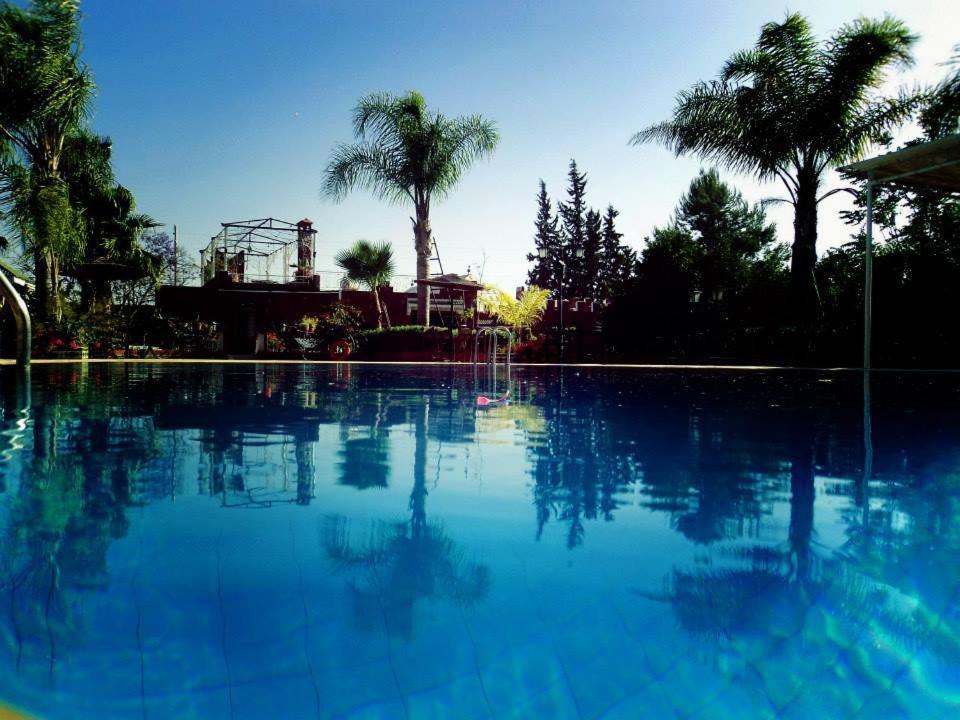 Aït el Rhazi里亚德阿格尼尔多尔酒店的一座棕榈树环绕的大型游泳池
