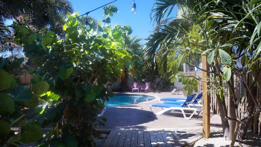 棕榈滩波林公寓的周围有一束树木的游泳池