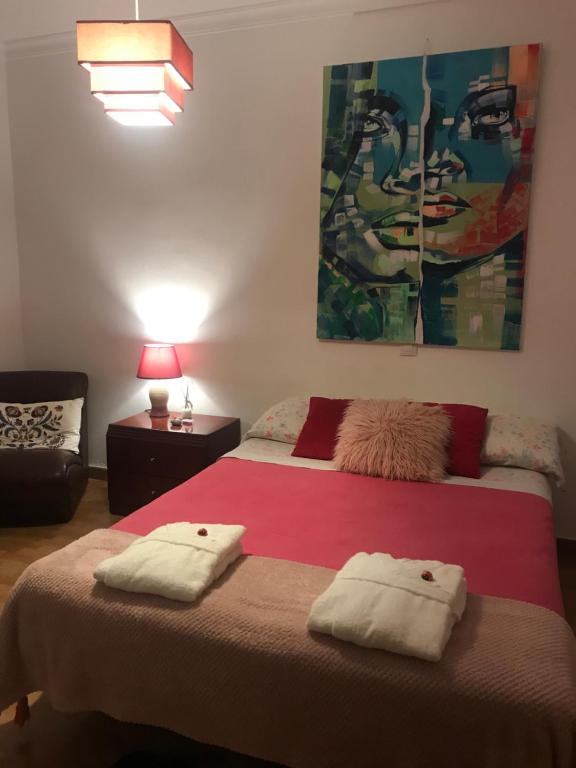 大加那利岛拉斯帕尔马斯Tranquila habitación的一间卧室配有一张大床和两个枕头