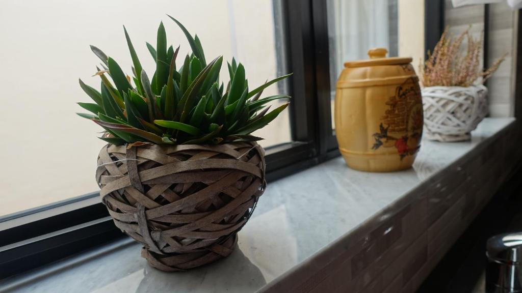 il-BaħrijaMamina's House的三个花瓶,里面装有植物,坐在窗台上