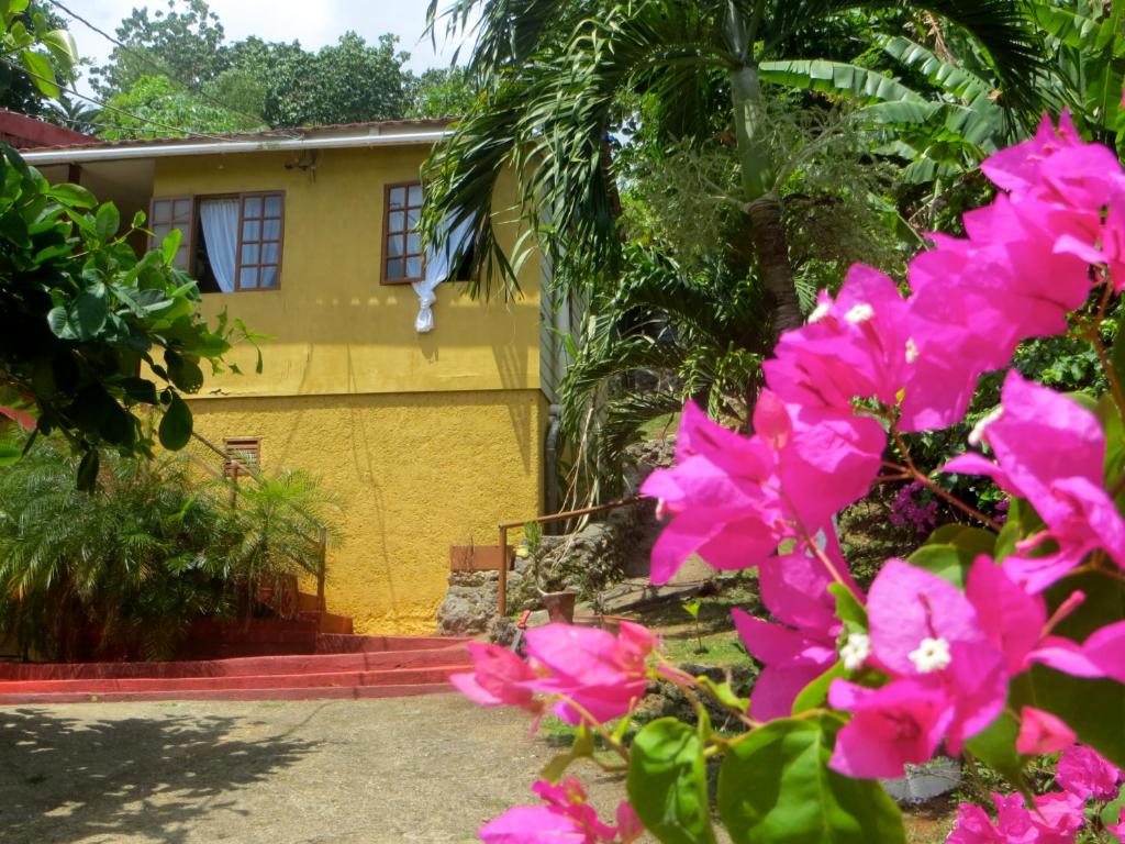 安东尼奥港La Familia Guest House and Natural Farm的前面有粉红色花的房子