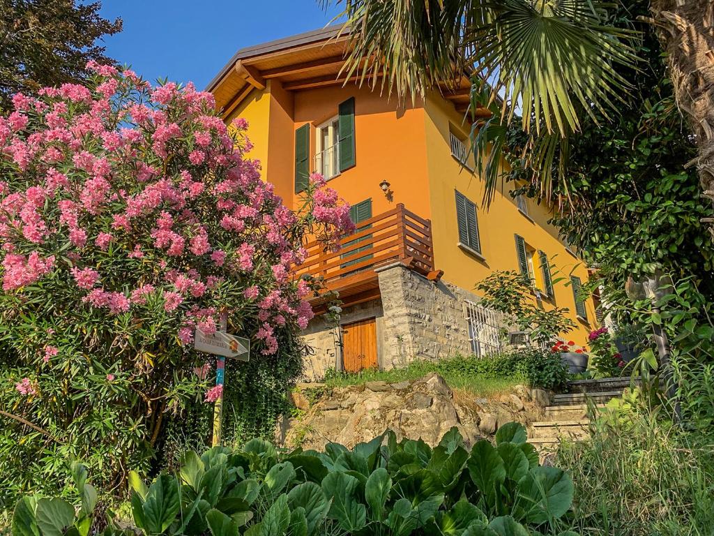 科莫卡萨迪玛利亚旅馆的前面有粉红色花的黄色房子