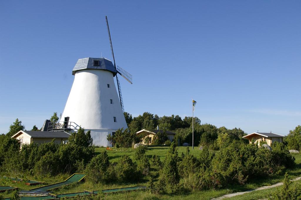 PivarootsiPivarootsi Windmill的田野上的风车