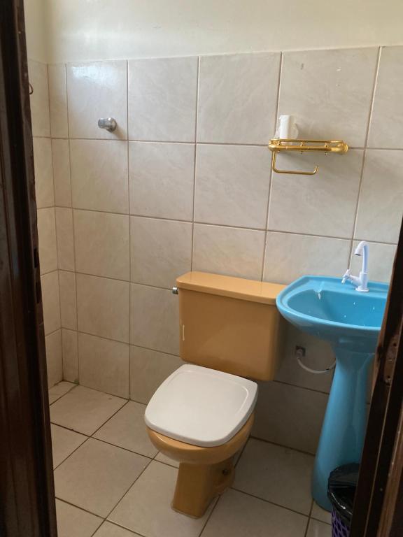 戈亚尼亚Hostel Pigally的一间带卫生间和水槽的浴室