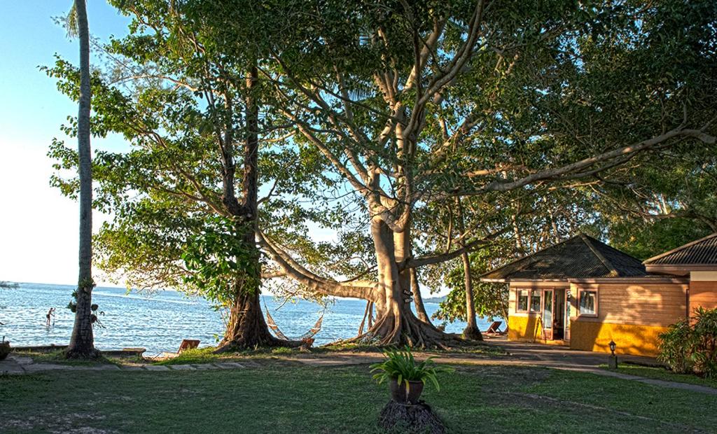 利巴诺伊Anahata Resort的水前有树的房子