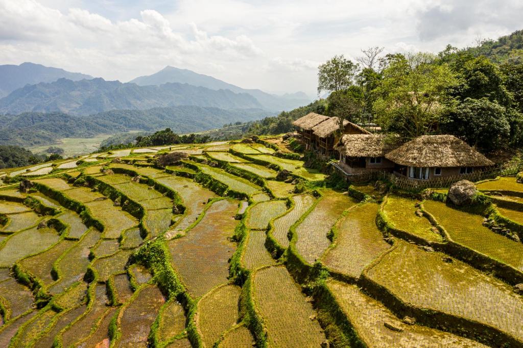 Hương Bá ThướcPu Luong Ecocharm的山脉梯田的空中景致