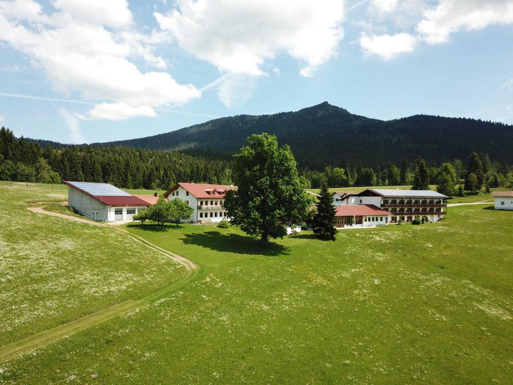 洛贝格Osserhotel Garni的一片大片草地,有建筑物和树