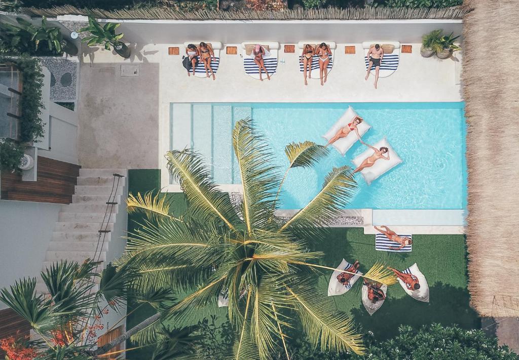 乌布Arya Wellness - female only的棕榈树泳池中游泳者的头顶景色