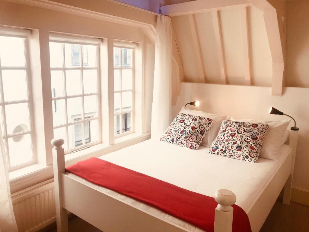 阿姆斯特丹Little Tulip的一间卧室配有一张带两个窗户的床