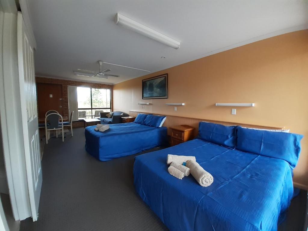 伊登湾景汽车旅馆的一间客厅,客厅内配有两张蓝色的沙发