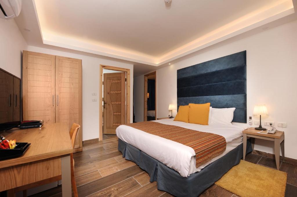 米茨佩·拉蒙Tzukim Desert Traveler's Hotel - מלון צוקים的配有一张床和一张书桌的酒店客房